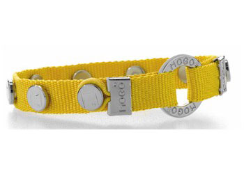 MOGO Magnetic Bracelets - Gold